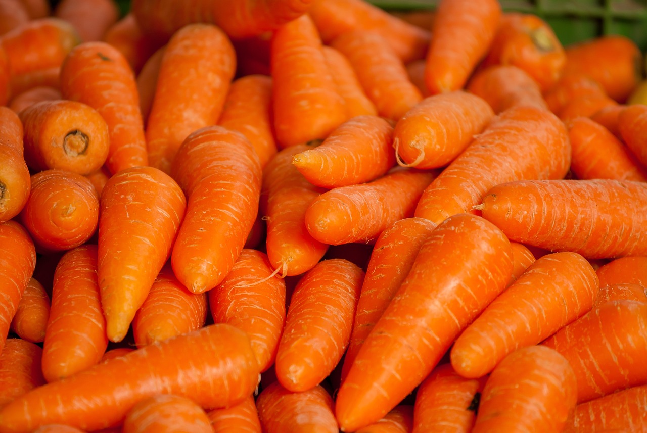 Incorporate Carrots into Their Diet