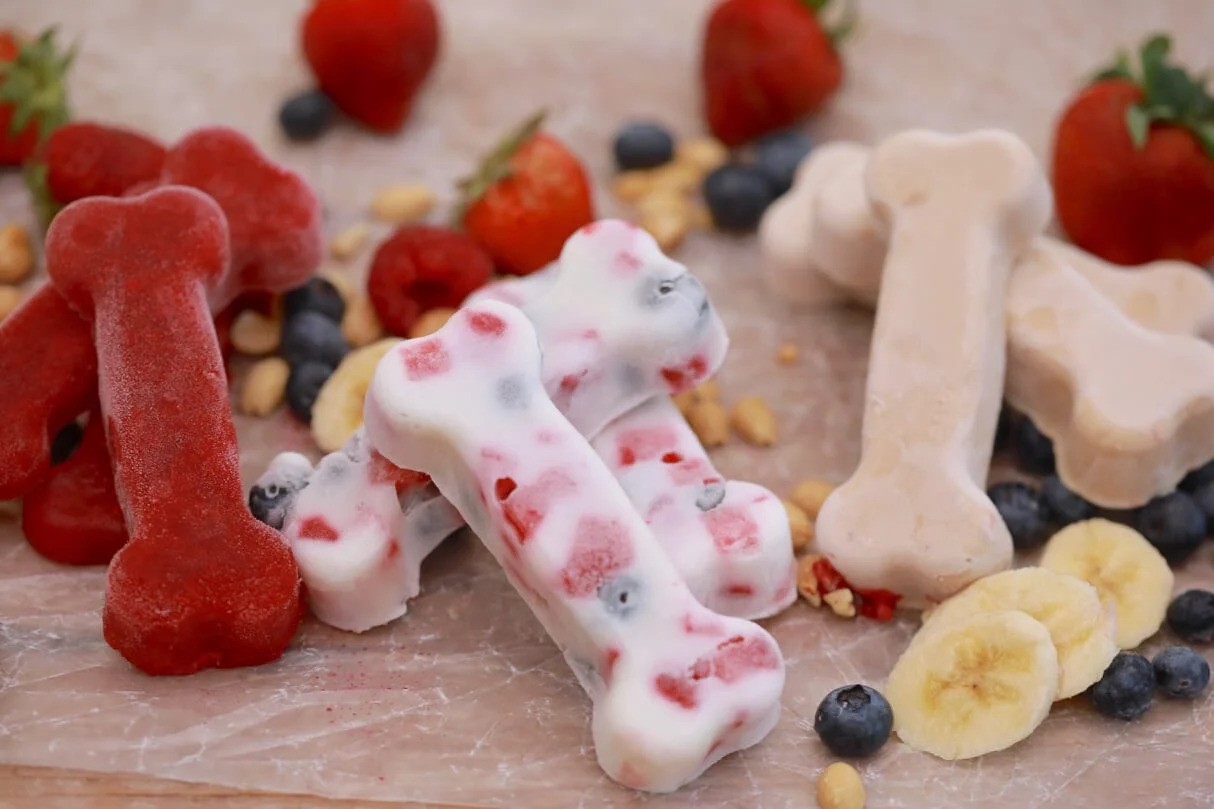 Frozen Yogurt Treats